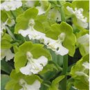 전국행정사 이미지