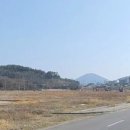 우두리