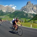 바이온트 이미지