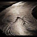 승주상사 이미지