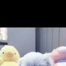 멍벤져스 이미지