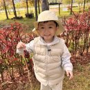 미호유치원 이미지