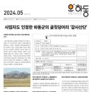 파란돌