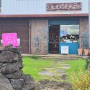 게스트하우스원데이 | 제주 2박 3일 | 내 취향 듬뿍 담긴 혼자 제주 여행코스 | 독립서점, 맛집, 게스트하우스, 원데이 체험 추천
