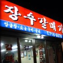 장수갈매기 이미지