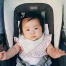 신통치킨(이동점) | 신통치킨메뉴 한마리통닭 똥집튀김 포장해왔어요