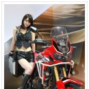 강유이 카카오 검색결과