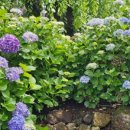 명진축산2 이미지