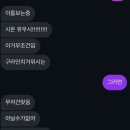 미미쉐