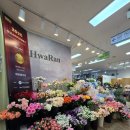 양재시장 | 서초구 양재동 양재꽃시장 강남 꽃집 화란플라워