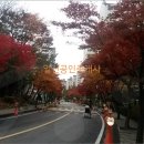 이원규내과의원 이미지