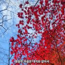 대지로3번길 네이버블로그