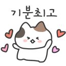 레인보우여행사주 이미지