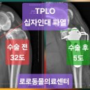 로로동물의료센터 이미지