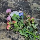 GS25 아산어의정점 이미지