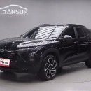 스카이모터스 이미지