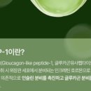 실험보감