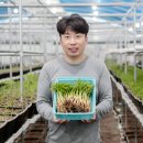 김주희농장 이미지