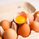 목감시티동물병원 이미지