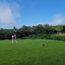 남원읍 태흥리 1105-2 | 🏌️‍♂️ 제주도 골프여행 후기 — 더클래식CC에서 이틀 연속 3인 라운드 즐기기