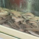 서창시장 이미지