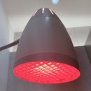 압구정한의원 | 지방분해 | 압구정 한의원 라인어트 프로그램으로 바디라인 컨투어링 후기