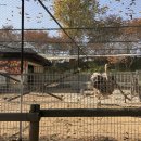 지우농장 | 우정 여행, 남자친구랑 여행, 기념일, 생일, 계절별 국내 여행지 추천, 해외 여행지 추천, 국내 여행 후기)