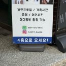 스튜디오플로피 이미지