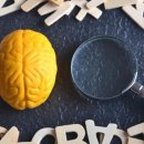 임상심리학 이미지