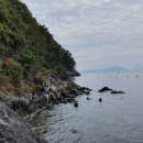 하포길 | 저도비치로드 추천코스, 완주후기 : 바다를 품은 창원둘레길