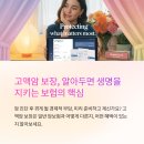 사명복싱 통합센터 | 암보험 고액암 보장, 제대로 알고 가입