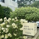 바다가 되고싶은 비 | 태안 숙소 추천 바다가되고싶은비 풀빌라 수영장 펜션