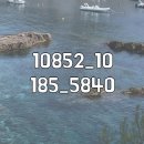 (주)코캣 - 1715 | (주)코캣