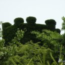 아름다운안양 이미지