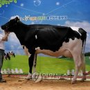 준이목장 이미지