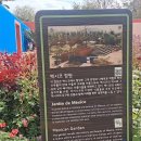 인디오테크 이미지