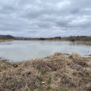 청도천2 이미지