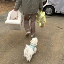 초정힐링캠핑장 이미지