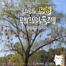 태마당공원 | 고령 대가야축제 후기, 오늘 가기 전 꼭 보세요