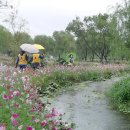 현양노인복지센터 이미지