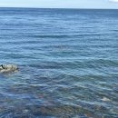 죽변비취모텔 이미지