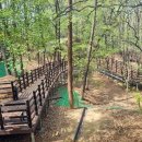 세종공원 이미지