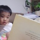스쿨밀 이미지