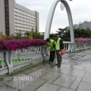 팔달육교 이미지