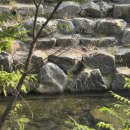 캠핑7604 이미지