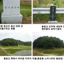 6월 11일 대전문화유산답사 "갑천변 풍경" 후기 2-용촌동 미리미 마을 이미지
