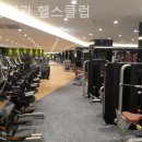 헬스클럽 천용회관 | 명동1가헬스장 은행회관 헬스클럽 오늘도 나아가는 순간!