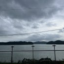 리움패밀리(주) 네이버블로그