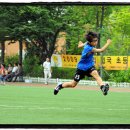 서울성내초등학교 이미지