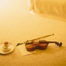 힐링 바이올린 이미지